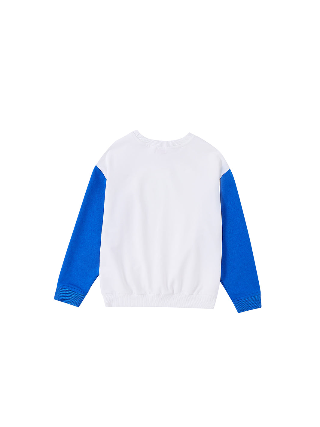 Striped Center Print Top