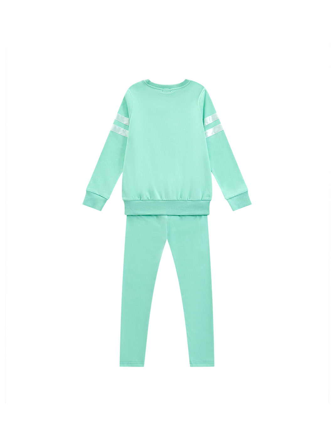 Silk Ribbon Set - Mint