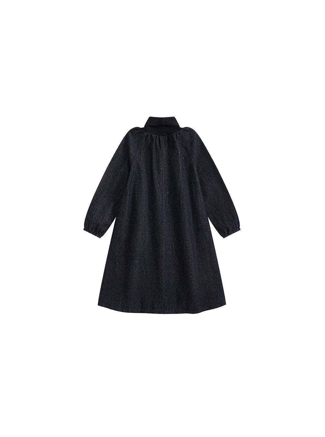 Denim Turtleneck Dress