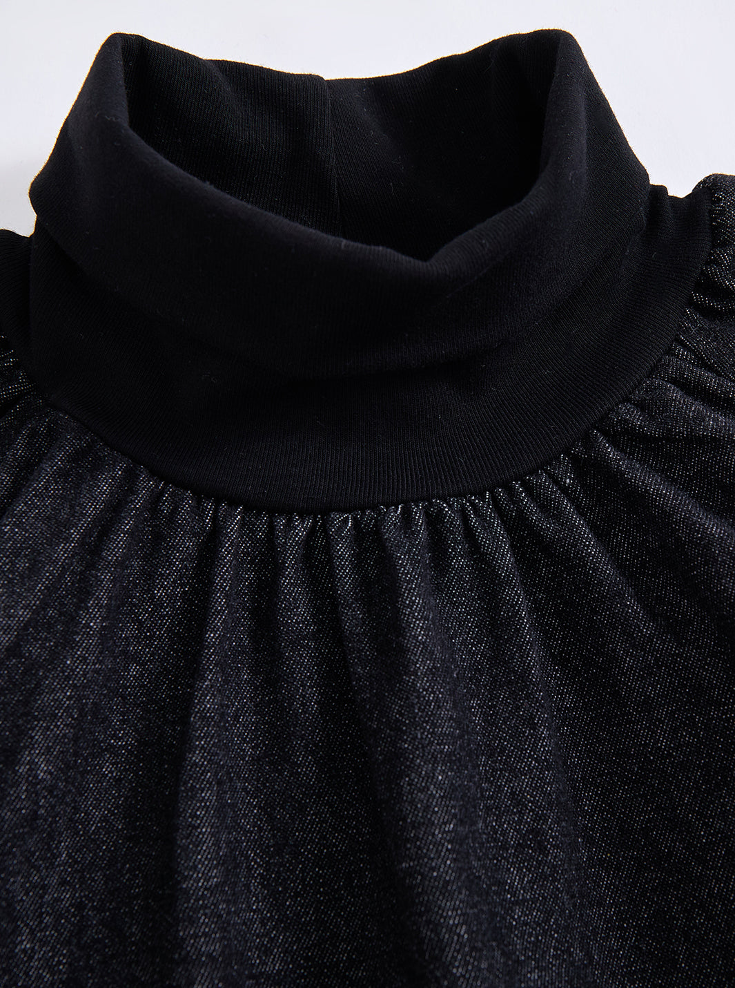 Denim Turtleneck Dress