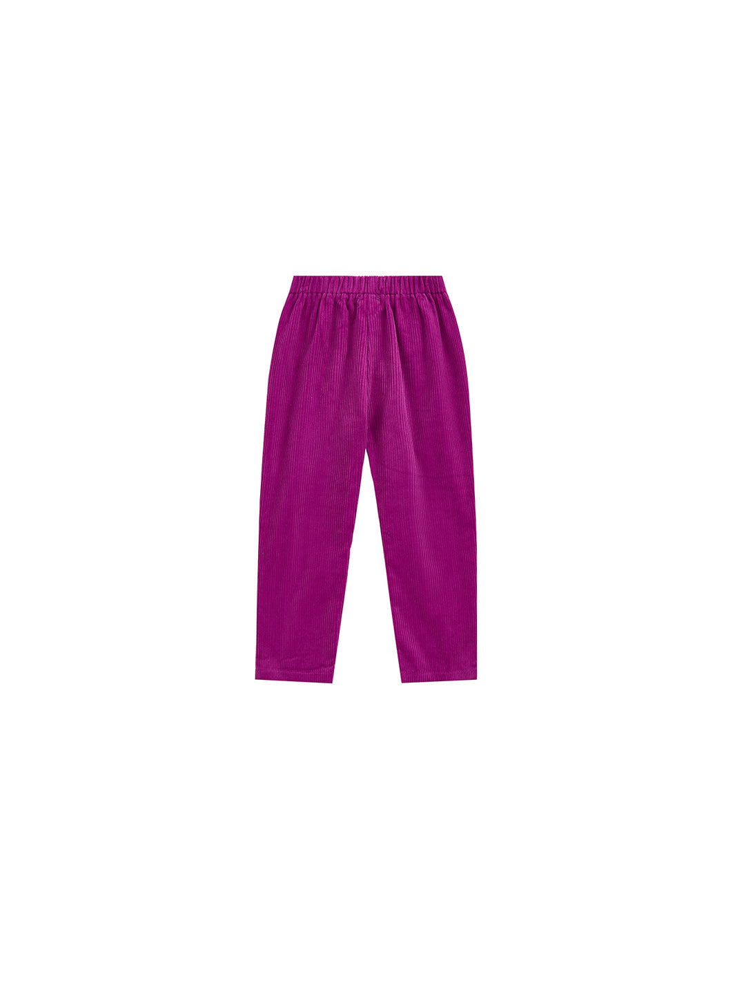 Corduroy Pants - Purple