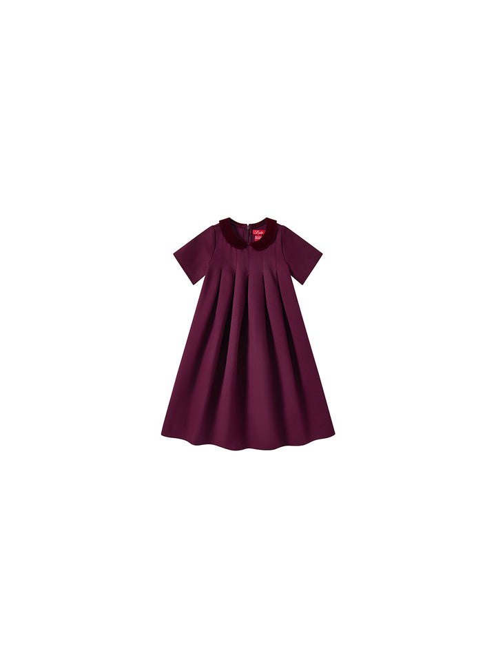 Velvet Collar Dress