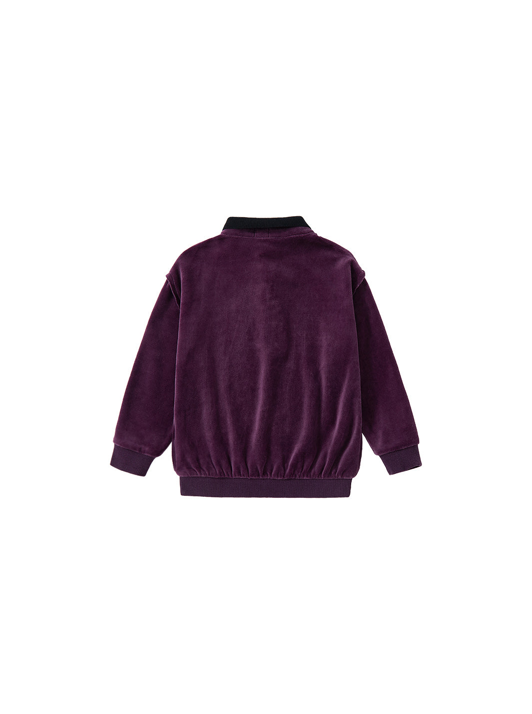 Velour Knit Collar Polo