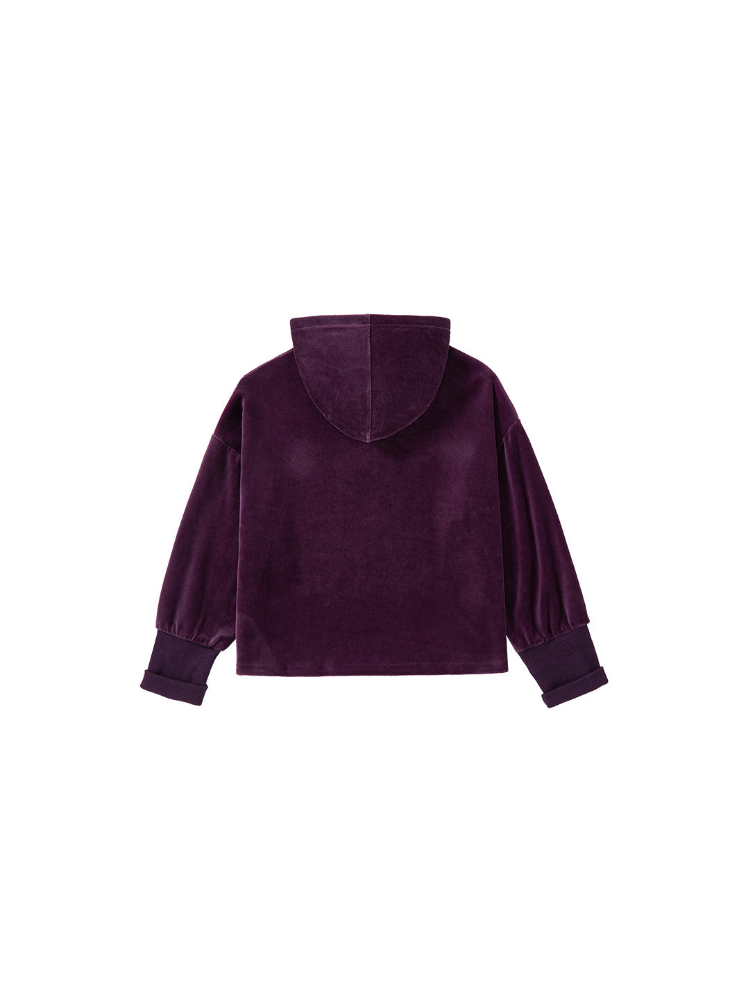 Velour Hooded Crop Length Top