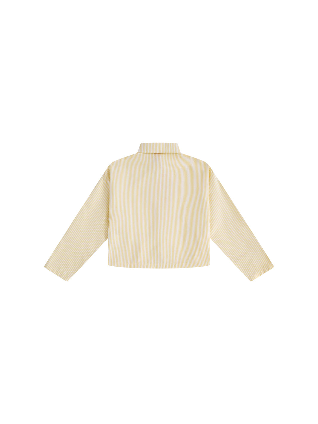 Hopscotch Striped Crop Shirt - Yellow