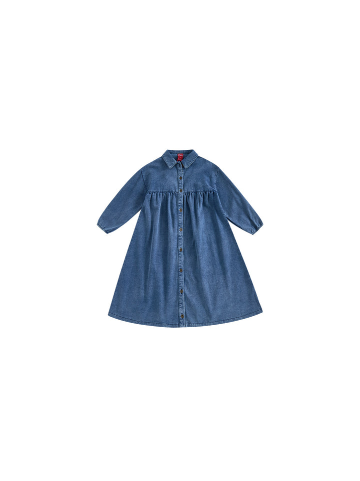 Washed Navy Dress