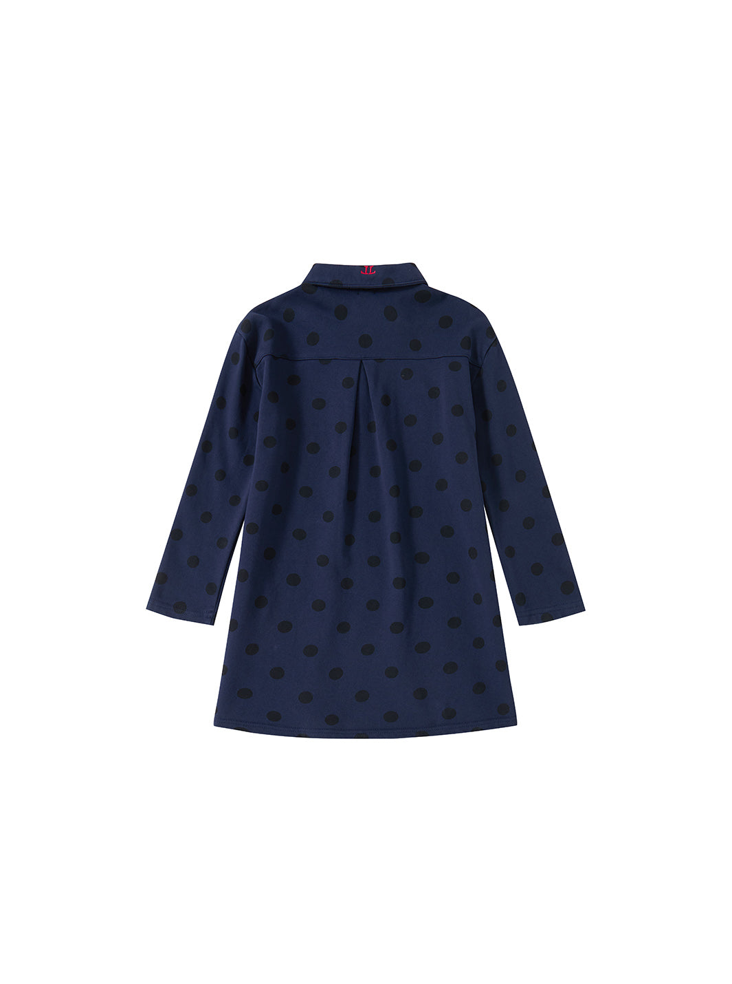 Polka Dot Dress