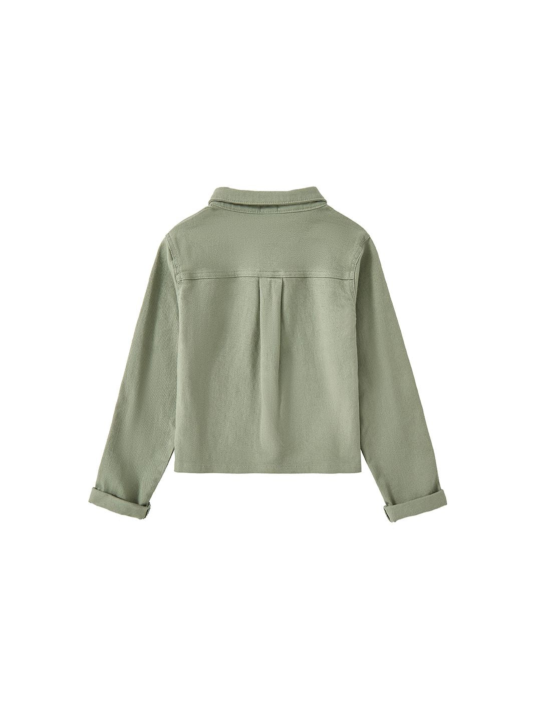 Twill Solid Crop Shirt - Pale Green
