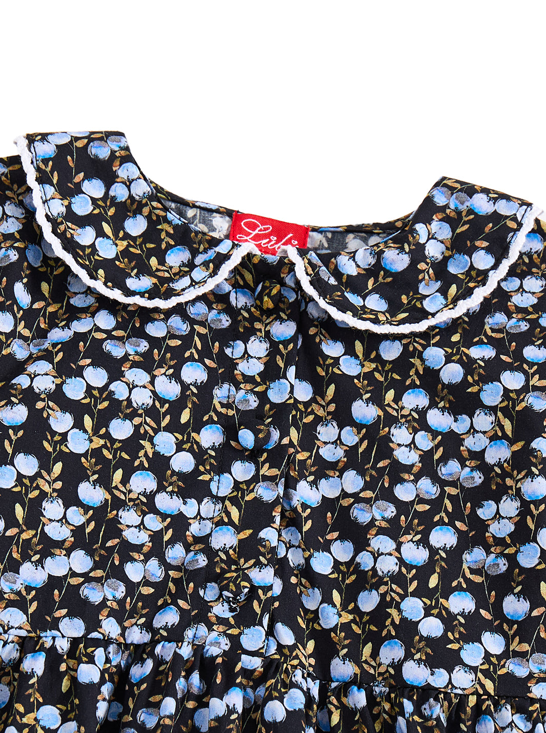 Midnight Orchard Dress